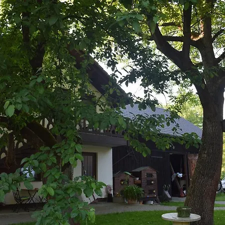 Gaestehaus Bohg 3* Burg (Spreewald)